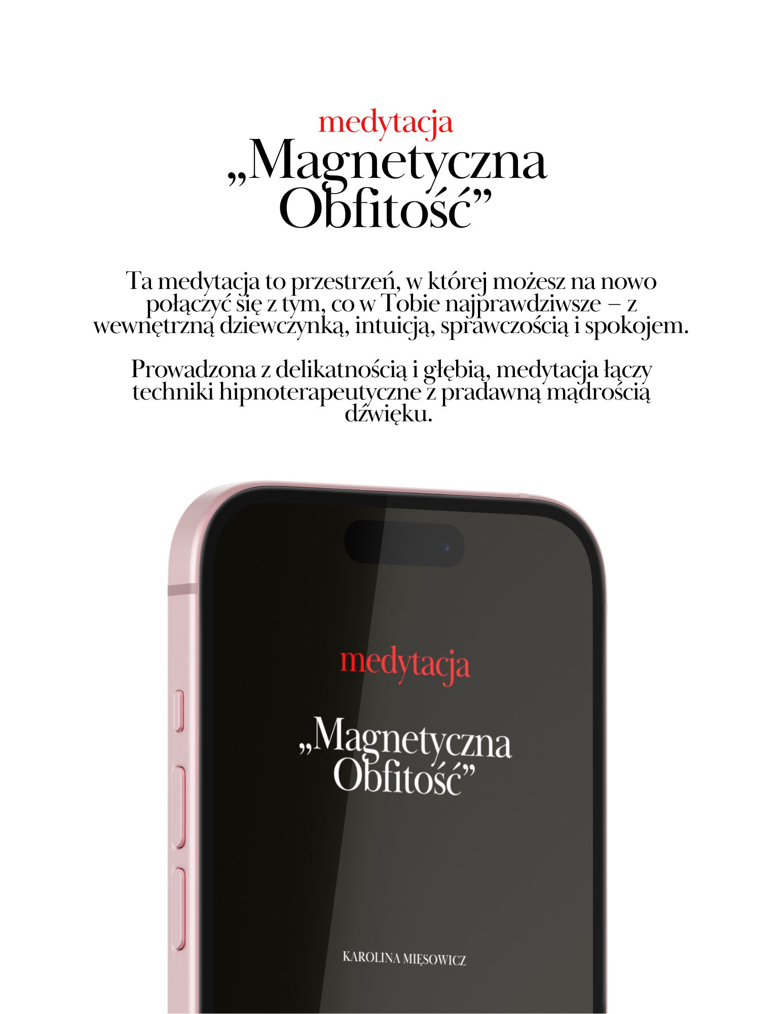 Pakiet PREMIUM e-book